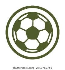 新鹏城队将于11月14日举办球迷开放日活动，今天14点开启报名