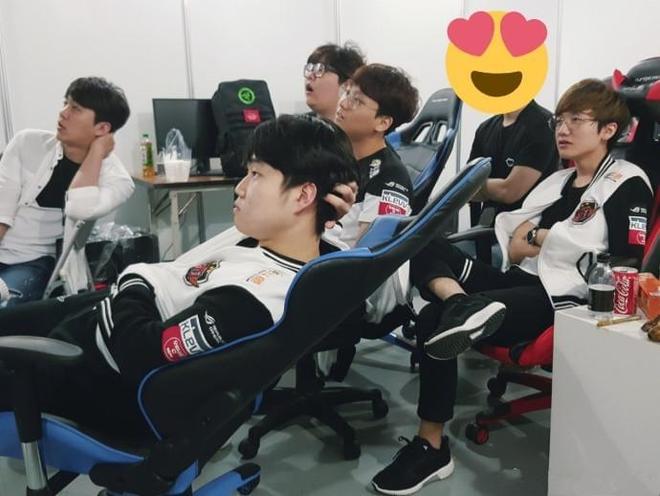 外线反扑把